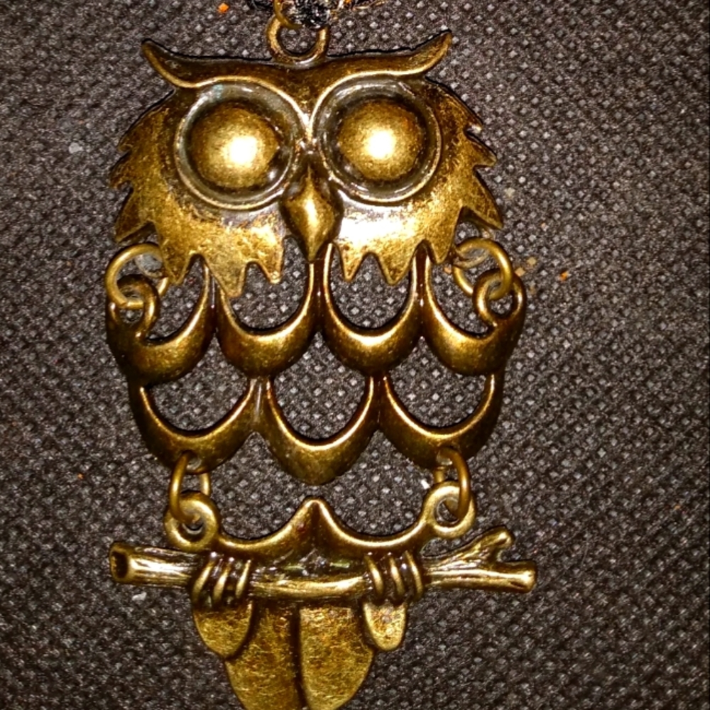 Beautiful Owl Pendant Only